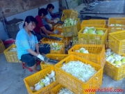 英德市金龍農(nóng)副產(chǎn)品加工廠——廠房相冊(cè)掠影